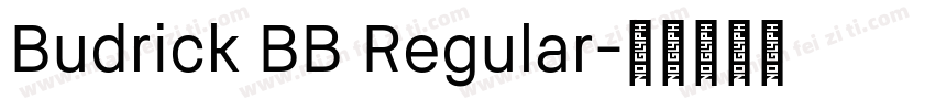Budrick BB Regular字体转换